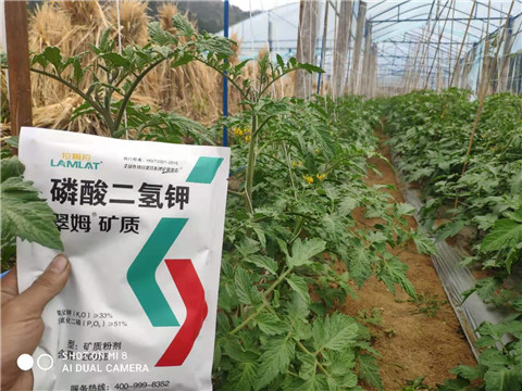 磷酸二氫鉀，拉姆拉，翠姆