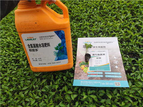 水溶肥，拉姆拉，翠姆
