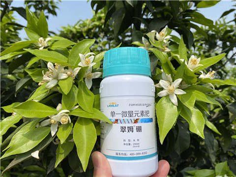 葉面肥，拉姆拉，翠姆