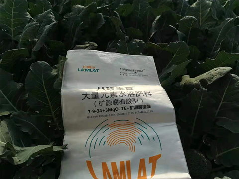大量元素水溶肥，拉姆拉，翠姆
