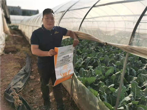 大量元素水溶肥，拉姆拉，翠姆