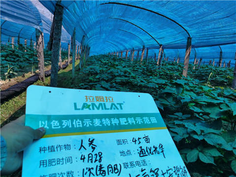 水溶肥，拉姆拉，翠姆