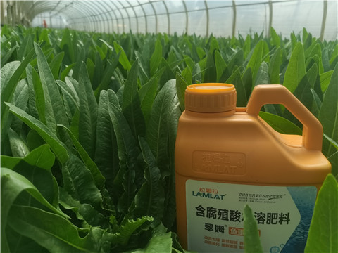 水溶肥，翠姆，拉姆拉