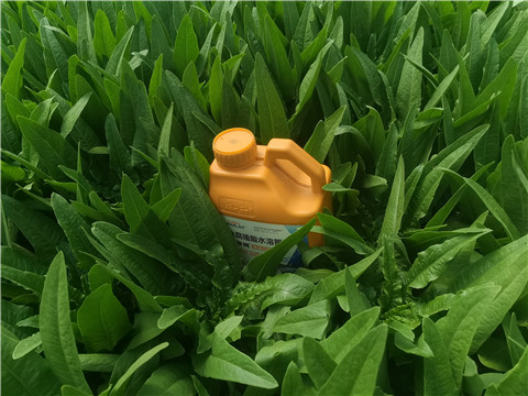 水溶肥，翠姆，拉姆拉