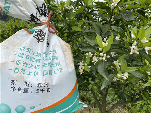 水溶肥，翠姆，拉姆拉