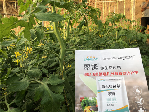 微生物菌劑，翠姆，拉姆拉