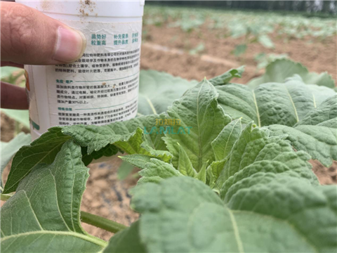 水溶肥，翠姆，拉姆拉