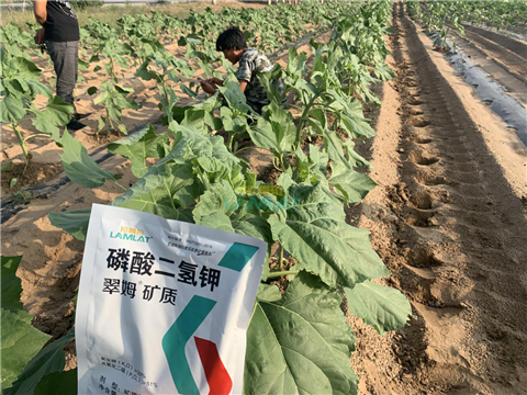 水溶肥，翠姆，拉姆拉