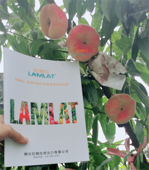 水溶肥，翠姆，拉姆拉