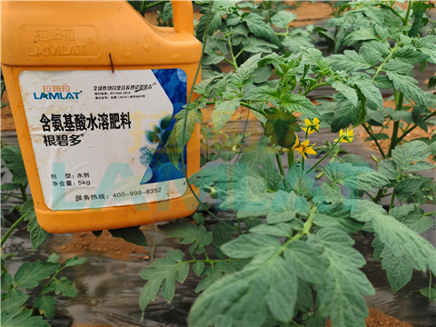 水溶肥，翠姆，拉姆拉