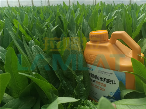 水溶肥，翠姆，拉姆拉