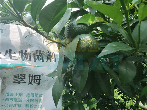微生物菌劑，翠姆，拉姆拉