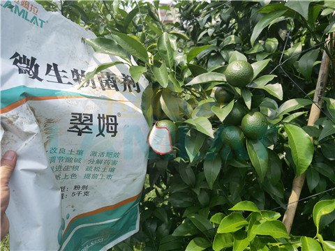 微生物菌劑，翠姆，拉姆拉