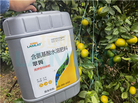 水溶肥，拉姆拉，翠姆