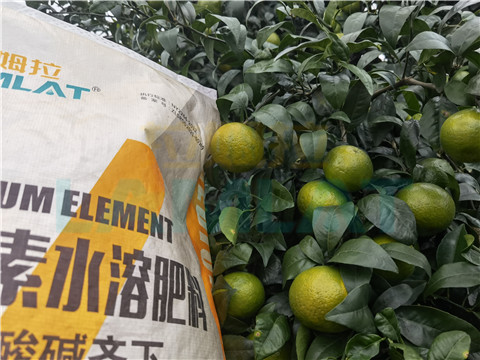 水溶肥，拉姆拉，翠姆