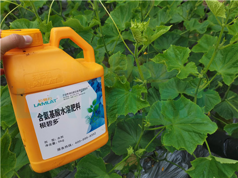 水溶肥，拉姆拉，翠姆