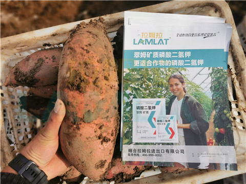 水溶肥，拉姆拉，翠姆