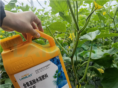 生根劑，拉姆拉，翠姆