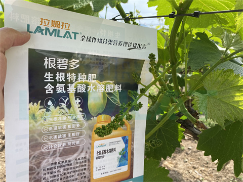 水溶肥，拉姆拉，翠姆