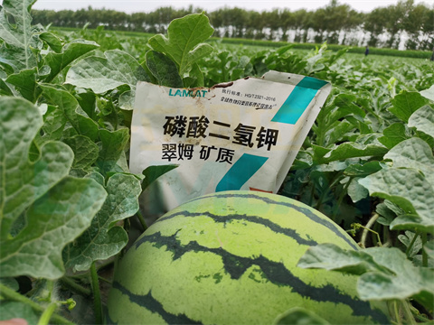 水溶肥，拉姆拉，翠姆