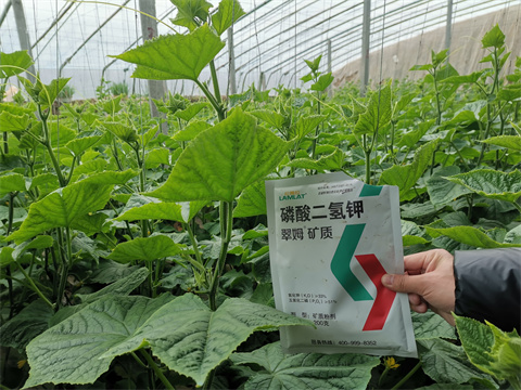 水溶肥，翠姆，拉姆拉