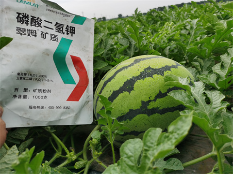 水溶肥，翠姆，拉姆拉