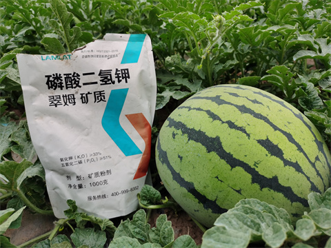 水溶肥，翠姆，拉姆拉