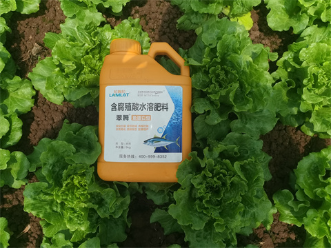 水溶肥,翠姆，蔬菜水溶肥